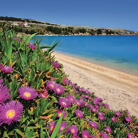 Daire 2 Bedroom Awesome In Pag *