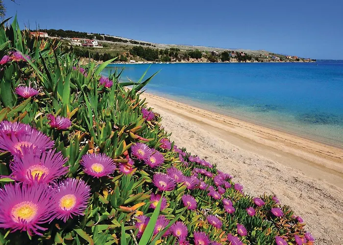 Apartmán 2 Bedroom Awesome In Pag *